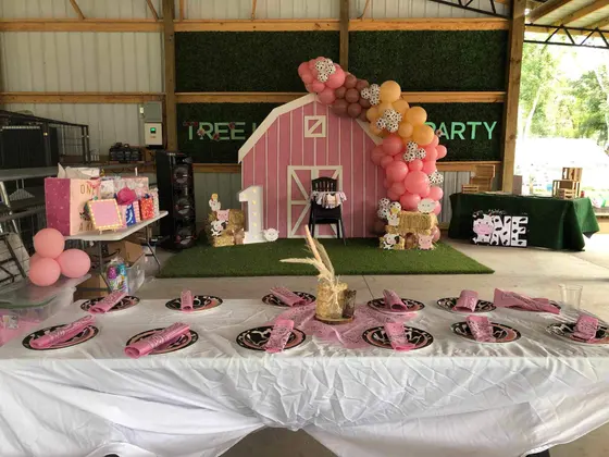 A decorated birthday party pavilion at Tree House Farm