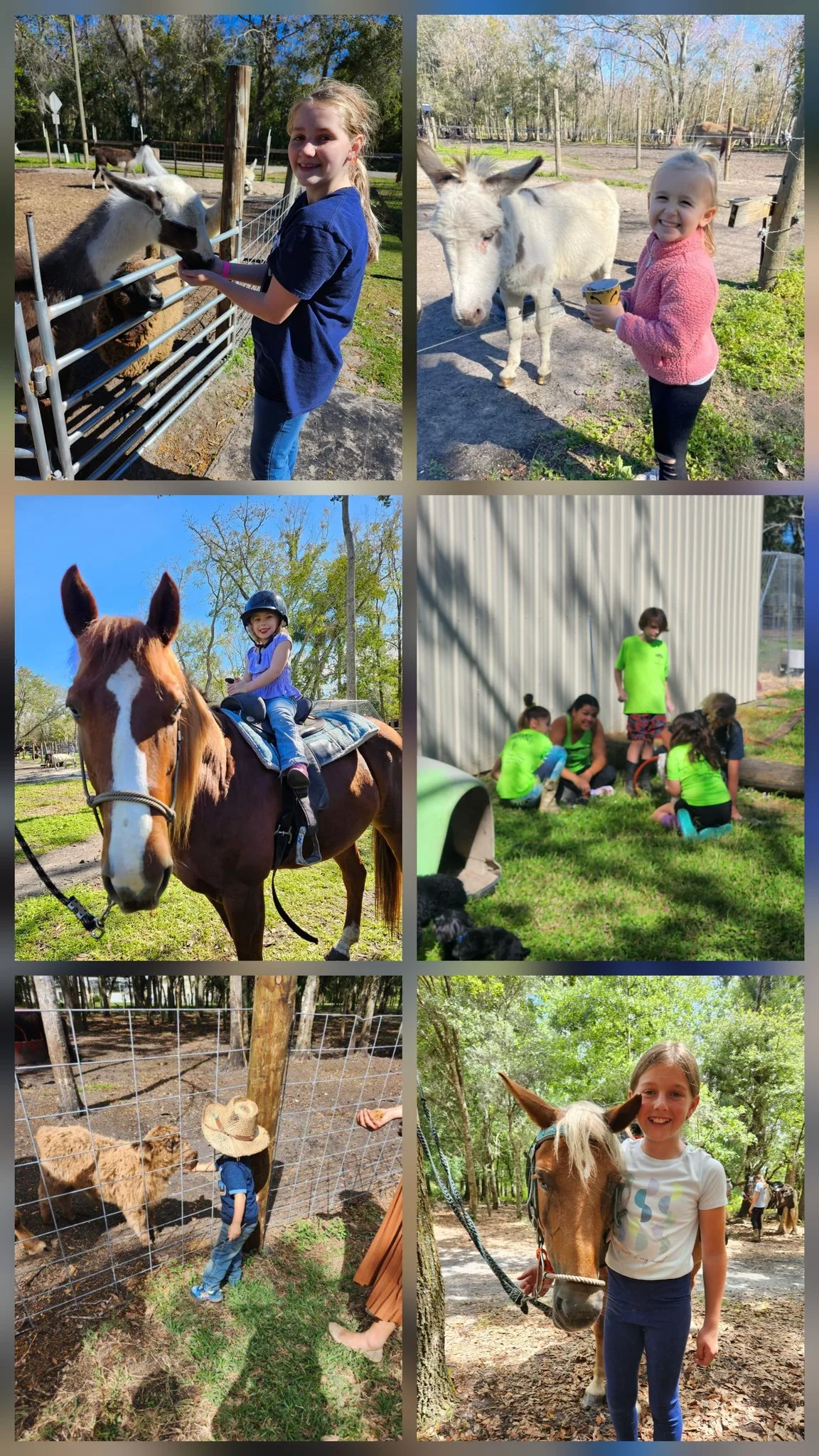 Children feeding animals, riding a pony, and helping around Tree House Farm during Farm Camp