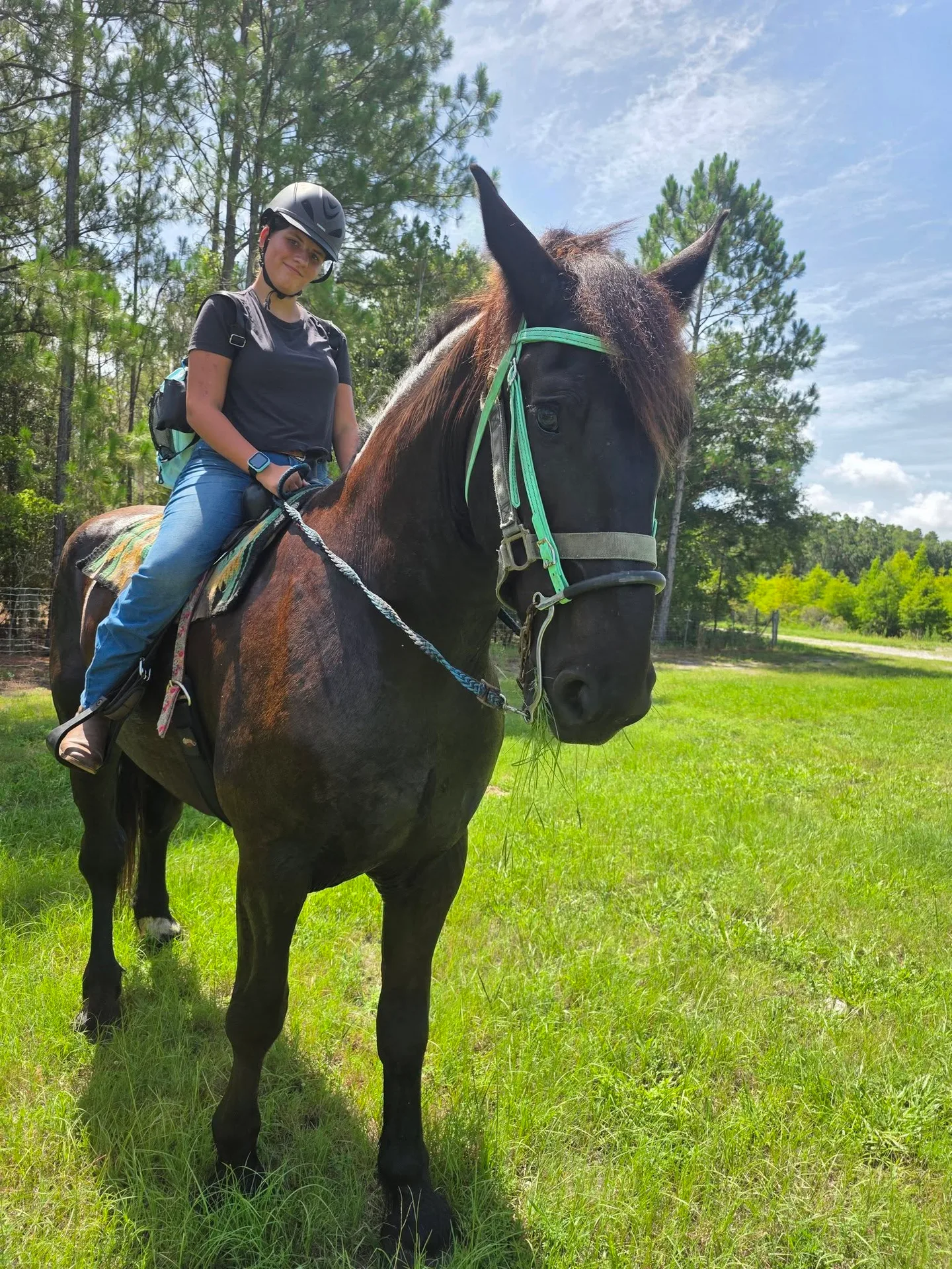 A rider on horseback during a Tree House Farm trail experience